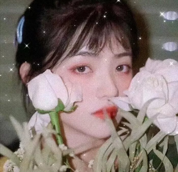 总统与奶牛