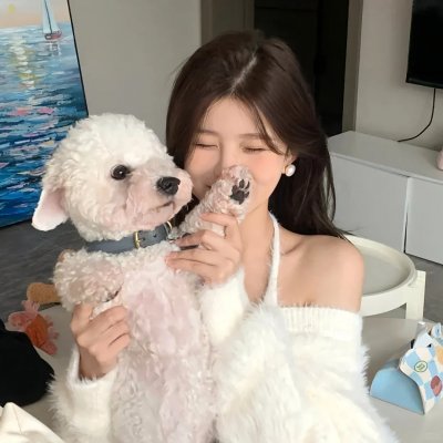 恋琴痴凤